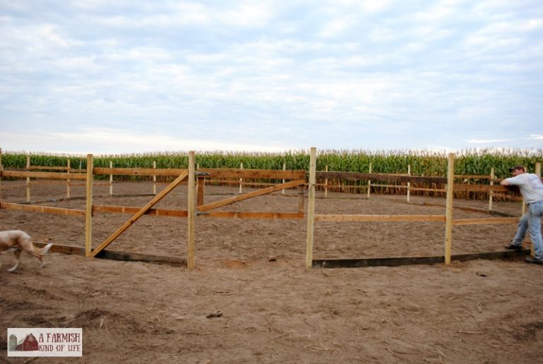 How to Build a Round Pen for Next to Nothing A Farmish Kind of Life