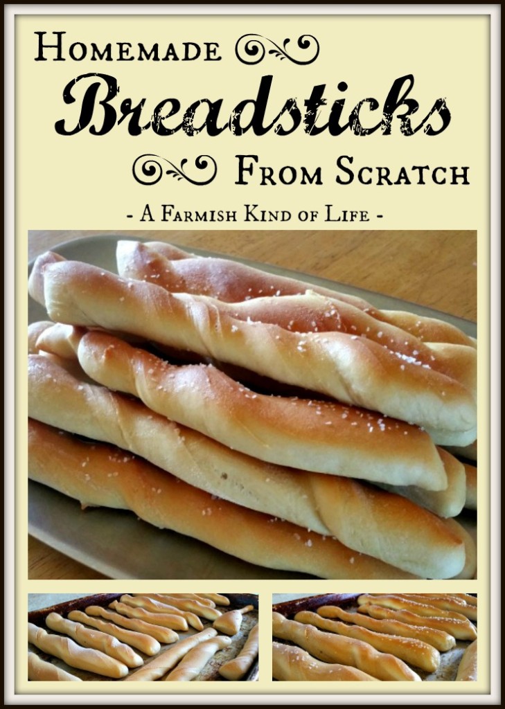 Homemade Breadsticks A Farmish Kind of Life