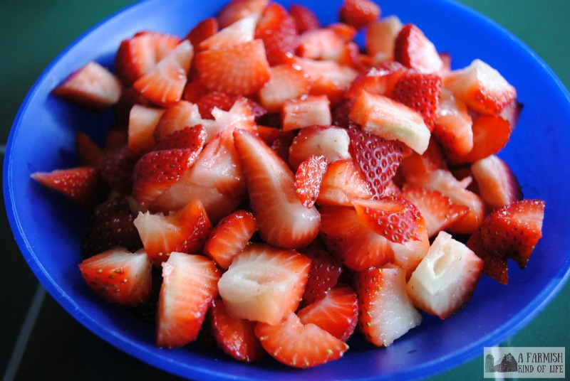 Looking for a different salad to bring to your next get together? Try Strawberry and Celery Salad with Honey Dressing. It's an amazing combination of flavors -- everyone will be asking for the recipe!