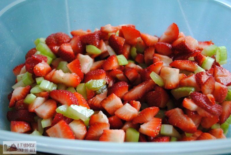 Looking for a different salad to bring to your next get together? Try Strawberry and Celery Salad with Honey Dressing. It's an amazing combination of flavors -- everyone will be asking for the recipe!