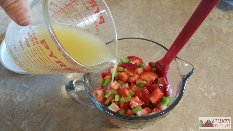 Looking for something different to bring to the next potluck or picnic? Try Strawberry Celery Salad with Honey Dressing. People will be asking you for the recipe - I promise!