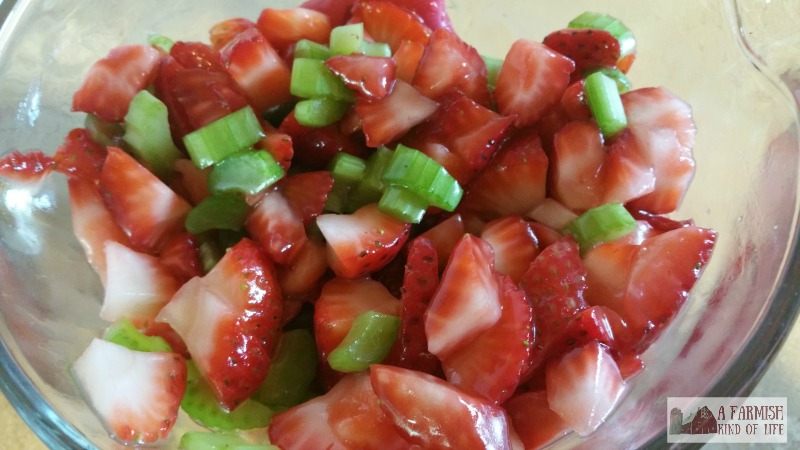 Looking for something different to bring to the next potluck or picnic? Try Strawberry Celery Salad with Honey Dressing. People will be asking you for the recipe - I promise!