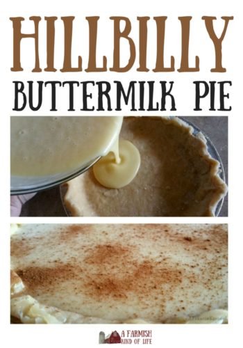 Looking for a different sort of pie that's sweet, delicious, and fun? Try Hillbilly Buttermilk Pie! 