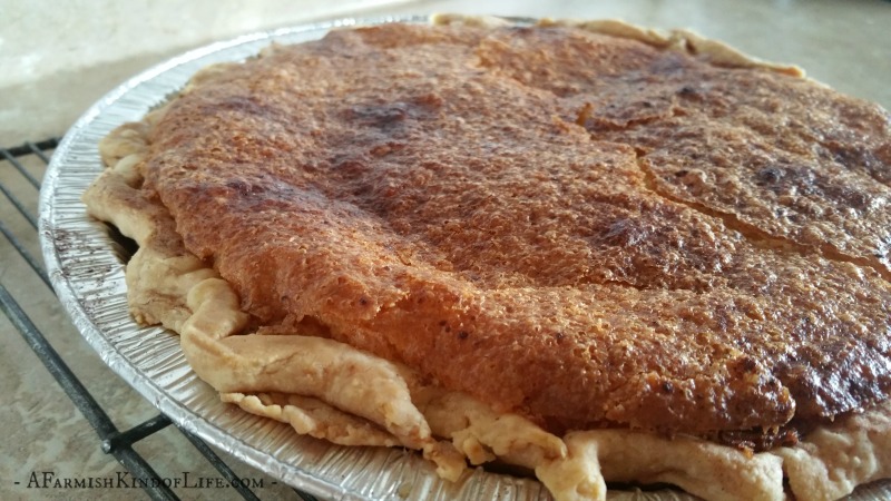 Want a different sort of pie to make that's sweet, delicious, and fun? Try Hillbilly Buttermilk Pie! - A Farmish Kind of Life