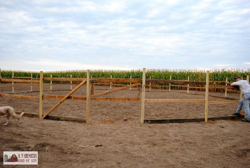 Learn how we made a round pen for only $50. Impossible? Nah. Let me show you how.