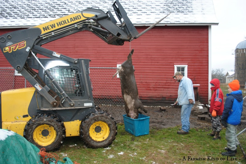 home butchering supplies