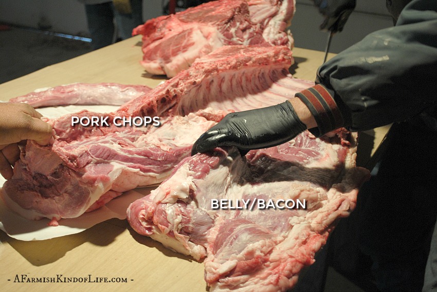 Want to process your pig at home, but aren't sure what cuts of meat come from where? Let me show you how to find the bacon, ham, ribs, and pork chops! - How to Butcher a Pig: Cuts of Meat - A Farmish Kind of Life