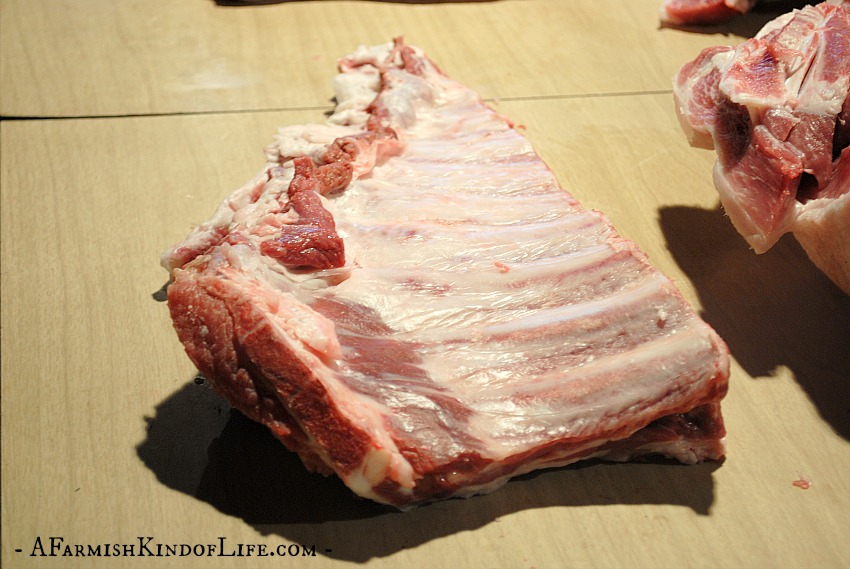 Want to process your pig at home, but aren't sure what cuts of meat come from where? Let me show you how to find (and how to cut) the bacon, ham, ribs, and pork chops! - How to Butcher a Pig: Cuts of Meat - A Farmish Kind of Life
