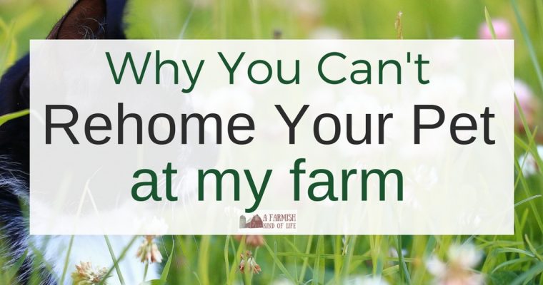 Why You Can’t Rehome Your Pet At My Farm