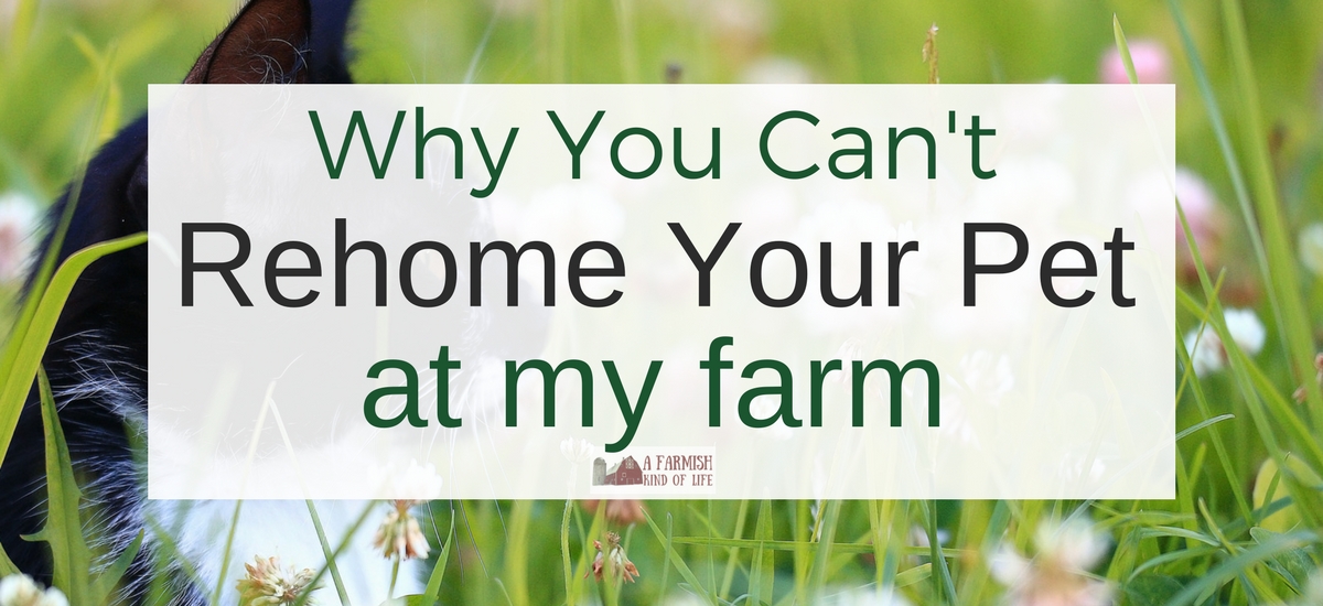 Why You Can’t Rehome Your Pet At My Farm
