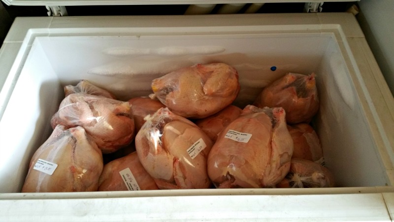 Tired of using freezer paper to wrap your home-processed poultry? I'll show you how to use poultry shrink bags for your next processing day.