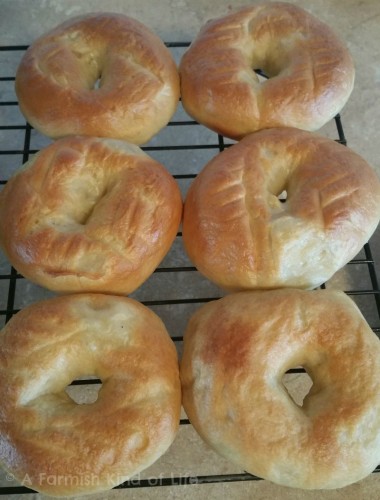 Bagels from Scratch A Farmish Kind of Life