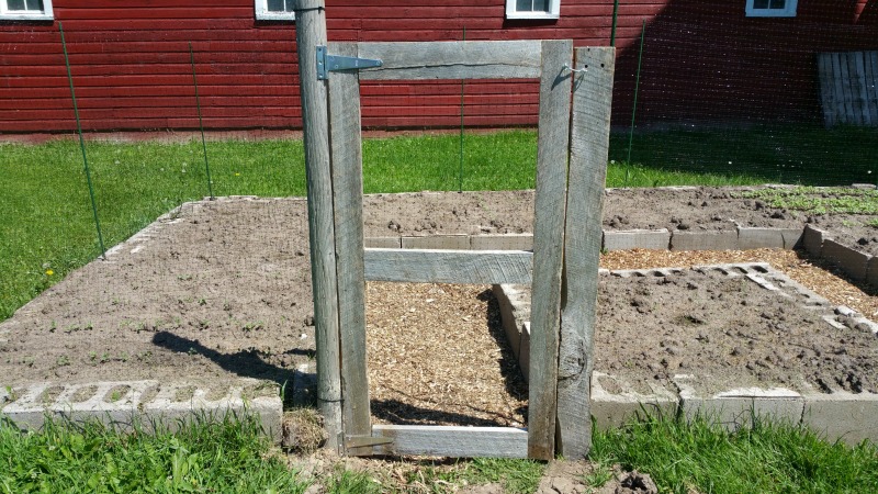 The garden gate is completed and hung in the correct place in the fence.
