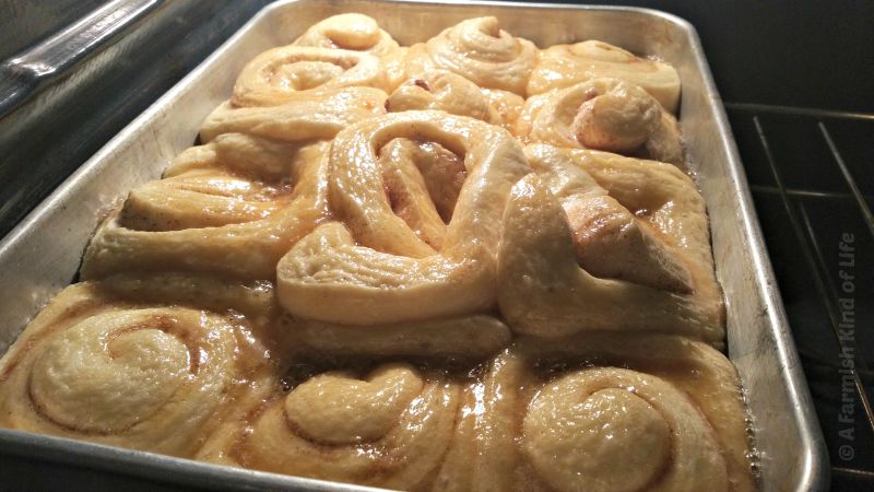 Want fabulous caramel rolls from scratch that are ready in just two hours and have ICE CREAM in their caramel topping? Try these Ice Cream Caramel Rolls from A Farmish Kind of Life!