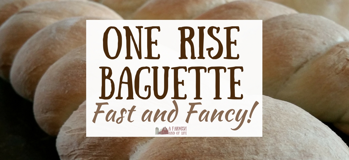 One Rise Baguette: Fast and Fancy