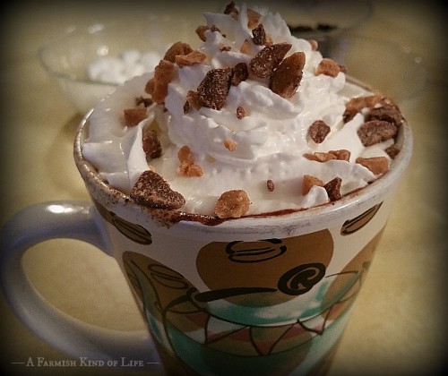 Crock Pot Hot Chocolate