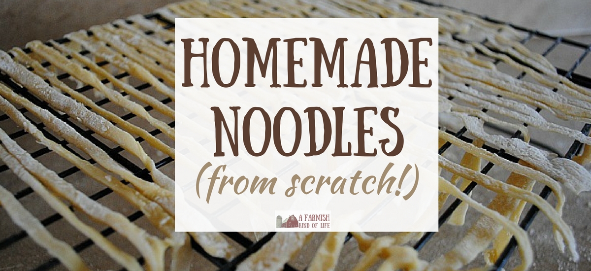Easy Homemade Noodles From Scratch