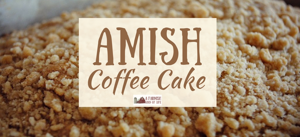 Amish Coffee Cake: There’s Coffee IN the Batter