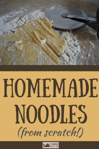 Ever wanted to make homemade noodles from scratch, but thought it was too hard? Pshaw. You can totally do this. It only takes four ingredients!