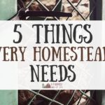 5 Things Every Homesteader Needs