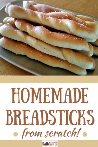 A quick and easy recipe for homemade breadsticks that pairs nicely with soup, salad or pasta. They also work great as a treat right from the oven. ;)