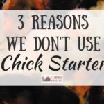 We Don’t Use Chick Starter: Three Reasons Why