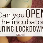 Can you Open the Incubator During Lockdown?