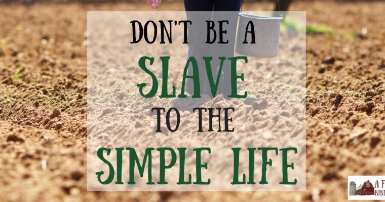 The Simple Life: Don’t Be Its Slave