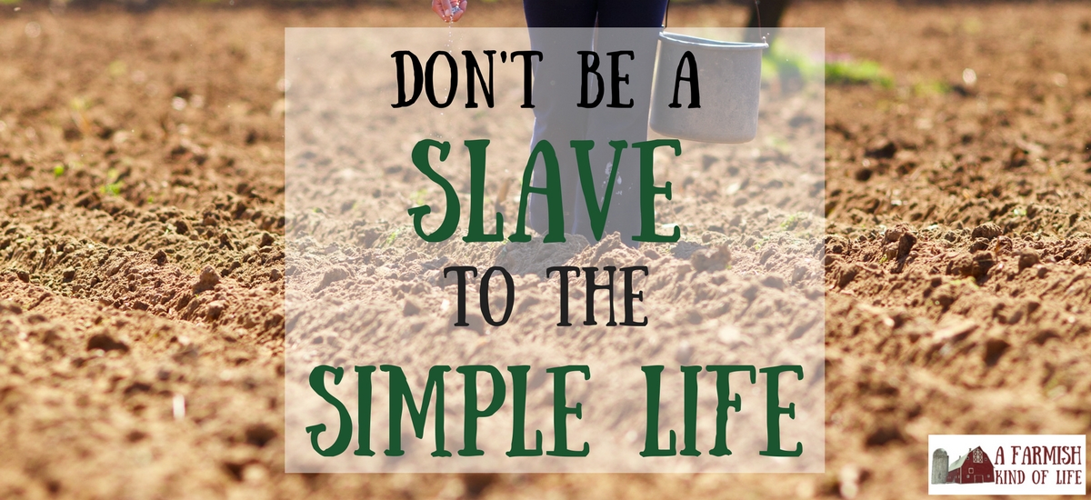 The Simple Life: Don’t Be Its Slave