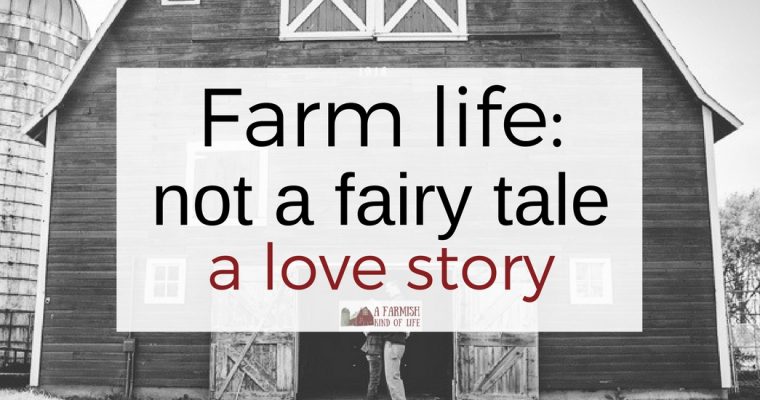 not a fairy tale: a love story