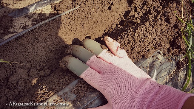 Honey Badger Gloves: Gardening With Claws - A Farmish Kind of Life