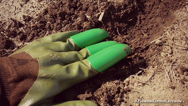 Honey Badger Gloves: Gardening With Claws - A Farmish Kind of Life