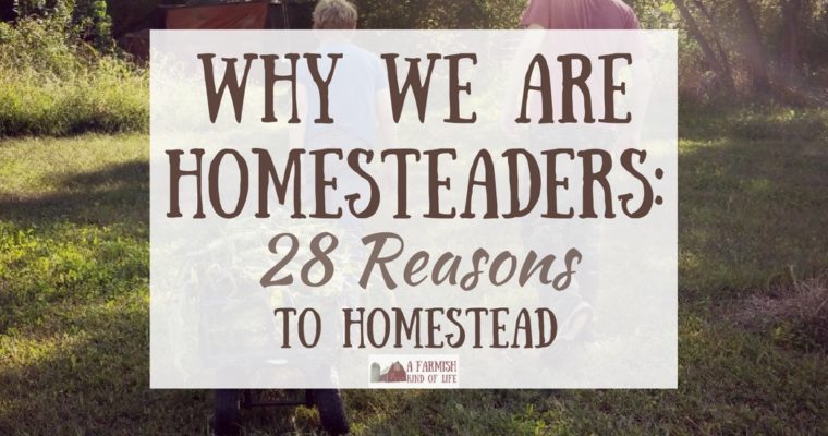 Why We Are Homesteaders: 28 Reasons to Homestead