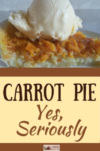 Carrot pie? What the what? Yes, it's amazing. Yes, I'm serious. Yes, you should try it. :) Take a chance on a wonderful old recipe that's surprisingly good.