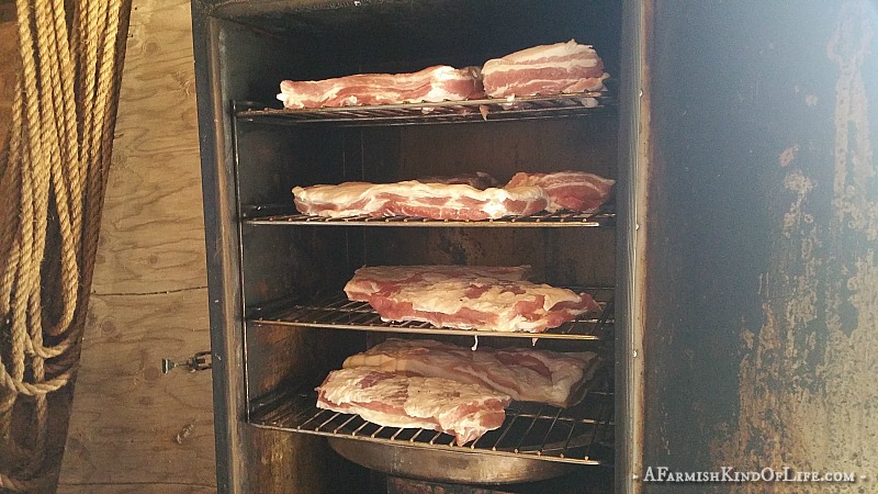 The power of bacon can heal the world. Here's how to make your own homemade bacon, from pig to plate, broken down into five lil' steps.