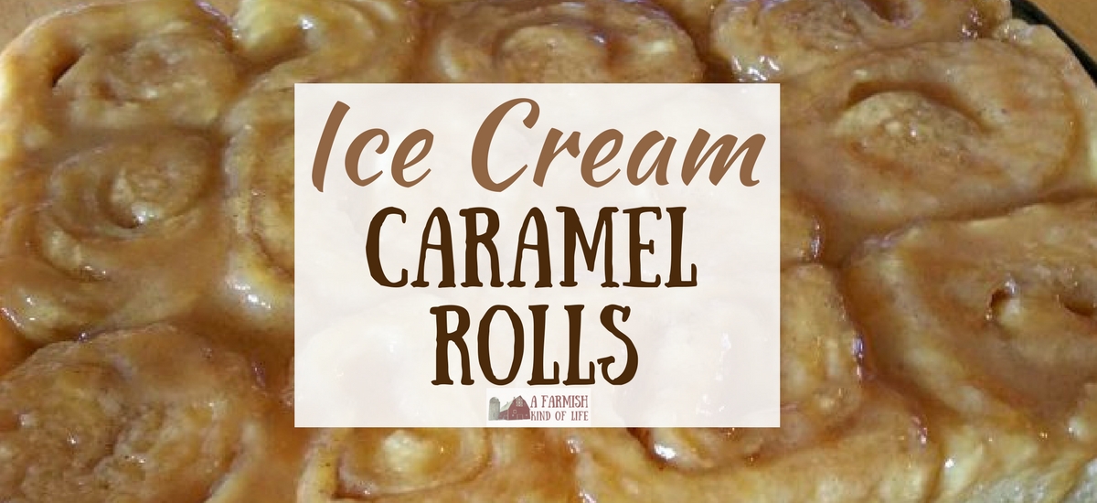 Ice Cream Rolls Recipe  How to Make Ice Cream Rolls