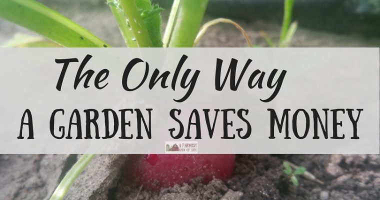The Only Way a Garden Saves Money