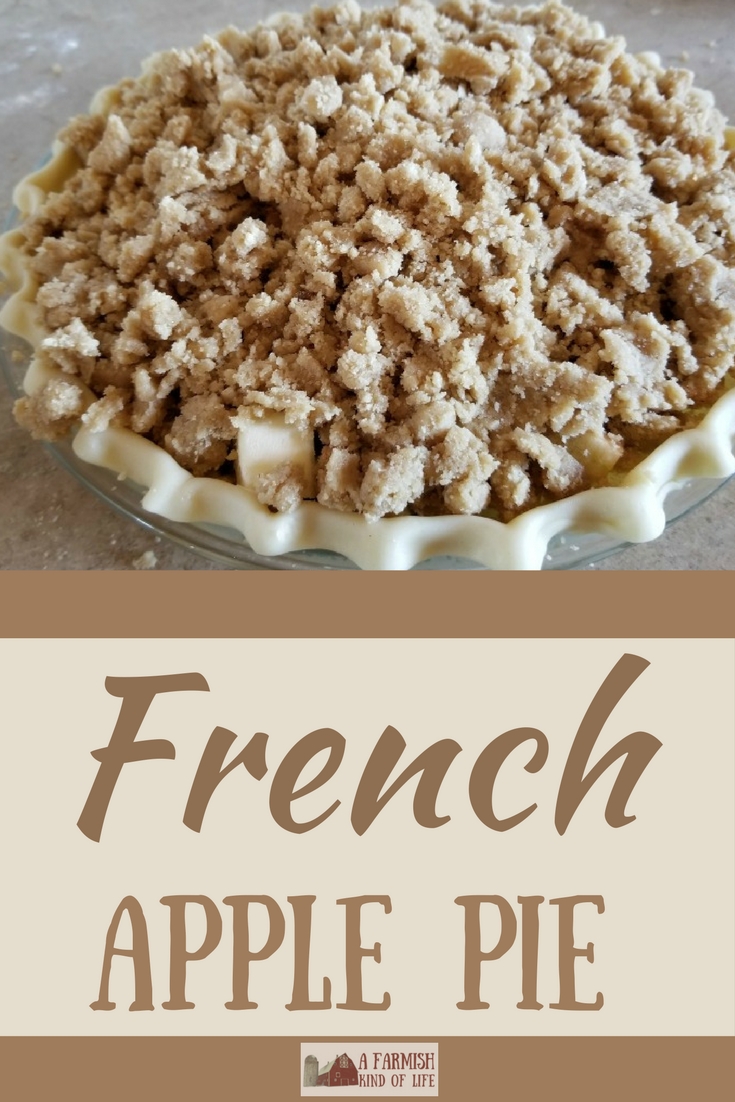 french-apple-pie-a-farmish-kind-of-life