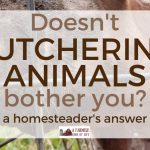 “Doesn’t butchering animals bother you?” Here’s my answer…
