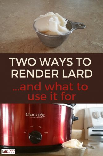 Rendering lard isn't complicated. Here are two ways that we render lard, along with ideas on what to use your lard for after you make it!