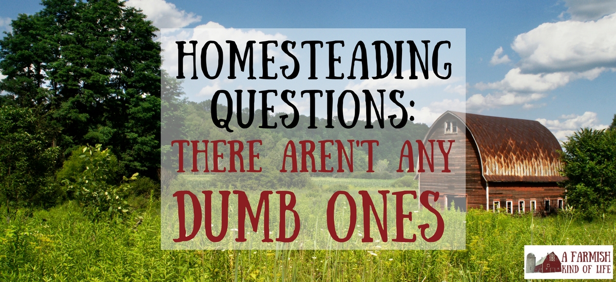 Homesteading Questions: There Are No Dumb Ones