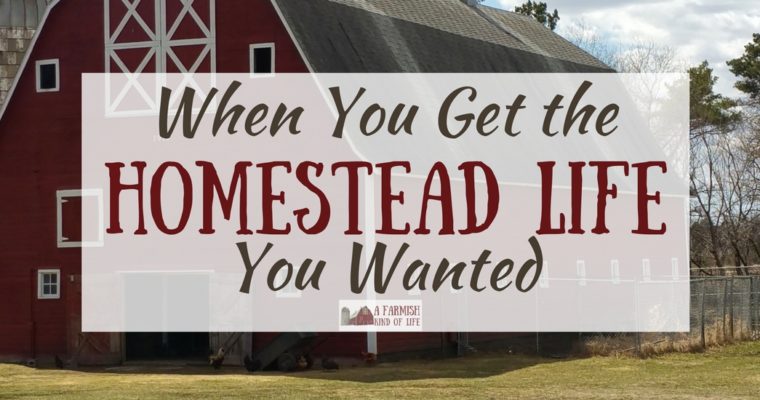 When You Get the Homestead Life You Wanted