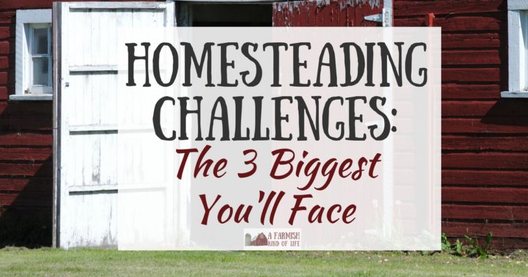 Homesteading Challenges: The 3 Biggest You’ll Face