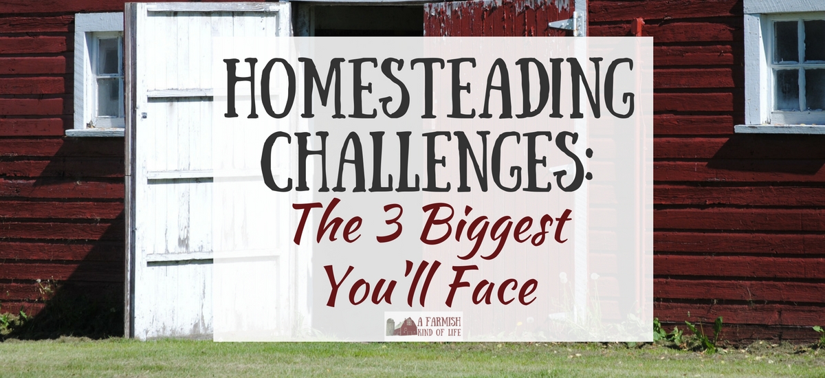 Homesteading Challenges: The 3 Biggest You’ll Face