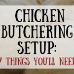 Chicken Butchering Set Up: 7 Things You Need