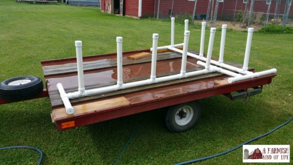 Chicken Butchering Set Up: 7 Things You Need - A Farmish Kind of Life