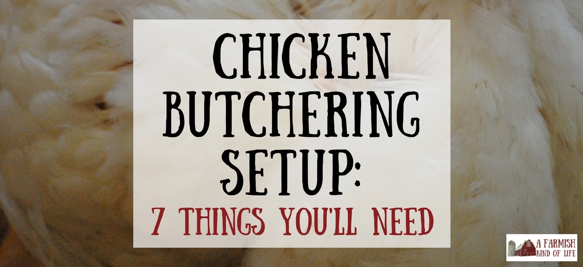 Chicken Butchering Set Up 7 Things You Need A Farmish