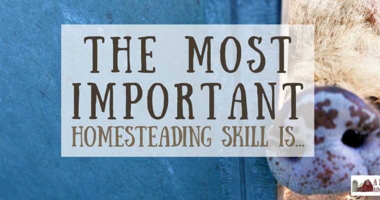 The Most Important Homesteading Skill You Need…