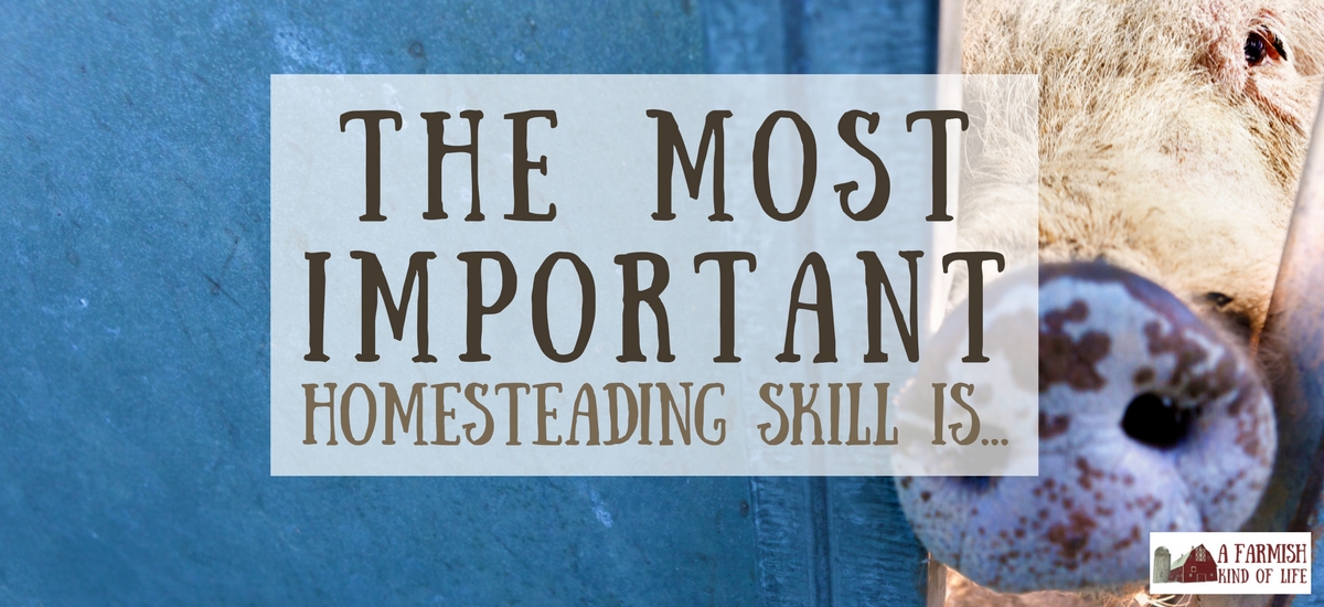 The Most Important Homesteading Skill You Need…