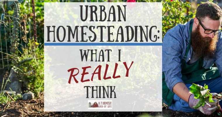 Urban Homesteading: What I Really Think